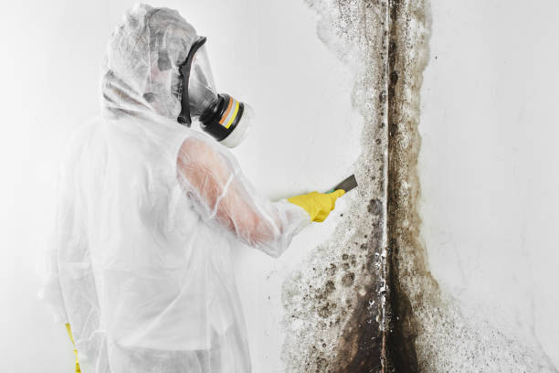 Fort Madison, IA Mold Remediation Company