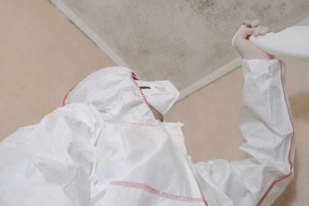 Best Commercial Mold Remediation in Fort Madison, IA